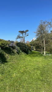 Photo de galerie - Tonte de pelouse - Débroussaillage