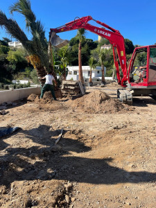 Photo de galerie - Paysagiste - Aménagement du jardin