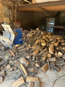 Photo de galerie - Après coupe de bois 
