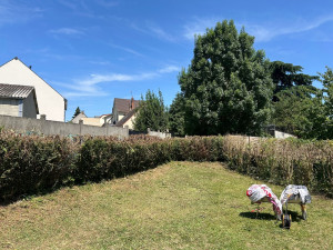 Photo de galerie - Tonte gazon