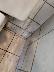 Photo de galerie - Avant le nettoyage 