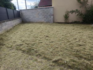 Photo de galerie - Après débroussaillage 