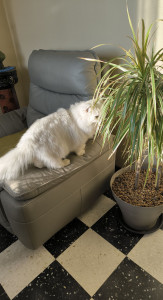 Photo de galerie - ❤️