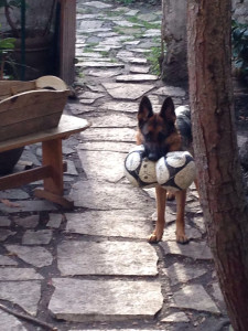 Photo de galerie - Un seul ne suffit pas je joue avec 2 c’est mieux 