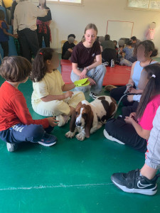 Photo de galerie - Séance de médiation animale avec Humeline, auprès d'enfants d'une IME (Institut Médico Éducatif)
