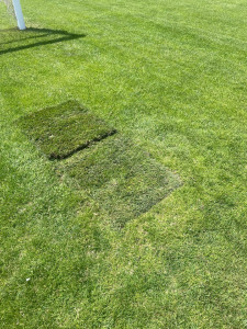 Photo de galerie - Paysagiste - Aménagement du jardin