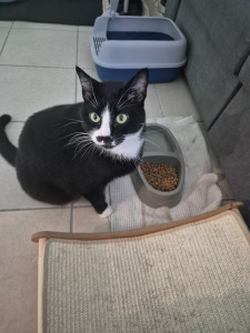 Photo de galerie - Adolf de Merville