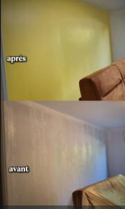 Photo de galerie - Peinture  enduit  salon