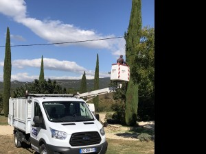 Photo de galerie - entretien jardin taille en hauteur