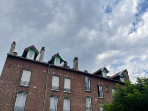 Photo de galerie - Rénovation de 9 chiens assis