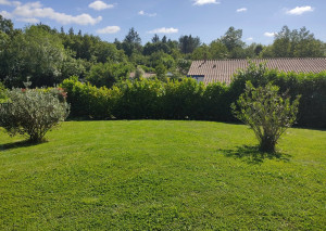 Photo de galerie - Avant la taille 