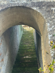 Photo de galerie - Paysagiste - Aménagement du jardin