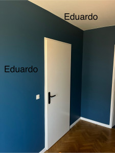 Photo de galerie - Bicolore 