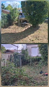 Photo de galerie - Débroussaillage jardin 
