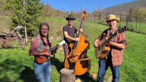 Photo de galerie - Musicien - Goupe de musique