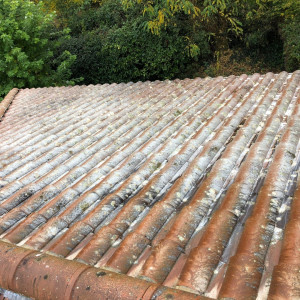 Photo de galerie - Demoussage traitement hydrofuge 