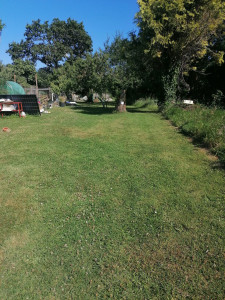 Photo de galerie - Jardin