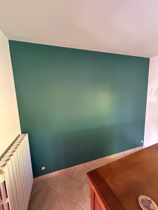 Photo de galerie - Pose de toile de verre + peinture murale et plafond