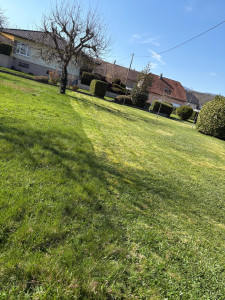 Photo de galerie - Tonte 