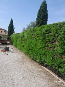 Photo de galerie - Avant 