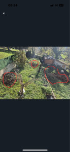 Photo de galerie - élagage d’arbres 