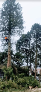 Photo de galerie - Tous nos travaux sont assurés par harnais de sécurité