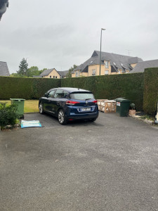 Photo de galerie - Taille de haies de thuya 