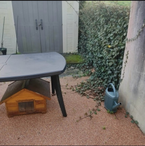 Photo de galerie - Paysagiste - Aménagement du jardin