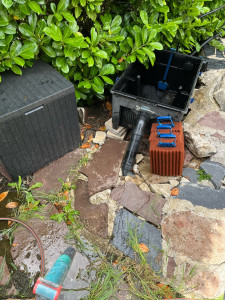 Photo de galerie - Nettoyage filtration bassin à poissons 