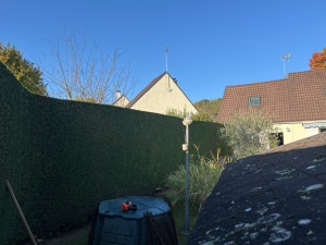 Photo de galerie - Taille d’une haie de thuyas