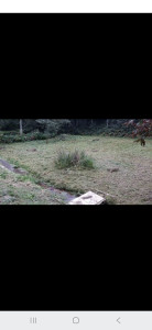 Photo de galerie - Débroussaillager votre terrain 