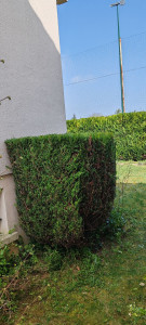 Photo de galerie - Paysagiste - Aménagement du jardin