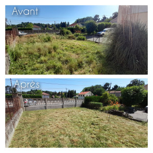 Photo de galerie - Tonte d'un jardin à l'abandon