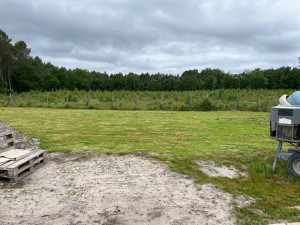 Photo de galerie - Tonte et débroussaillage 