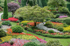 Photo de galerie - Une passion , un état d'esprit , un devenir , pour demain , planté , planté , planté des ARBRES 