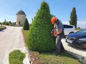 Photo de galerie - Taille d’entretien 