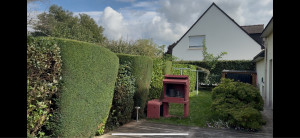 Photo de galerie - Taille de haie