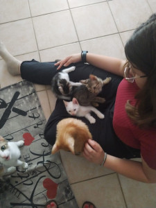 Photo de galerie - Ayant moi même des chats je me ferrai un plaisir de chouchouter les vôtre .