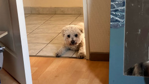 Photo de galerie - Garde de Google 