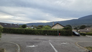 Photo de galerie - Taille de réduction/ objectifs de retrouver des proportions ́facile à entretenir. 
Apport de lumière et espaces
Retrouver des lignes droites  