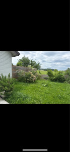 Photo de galerie - Avant