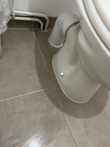 Photo de galerie - Remplacement WC ? 