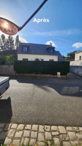 Photo de galerie - Taille de haies et d'arbustes