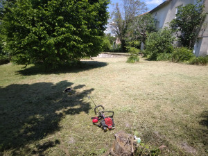 Photo de galerie - Tonte de pelouse - Débroussaillage
