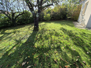 Photo de galerie - Tonte pelouse