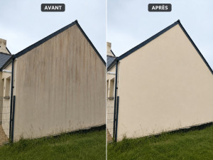 Photo de galerie - Nettoyage de façade avant après produit professionnel