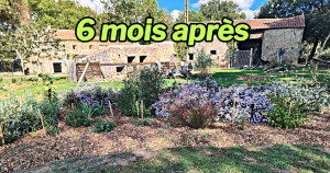 Photo de galerie - Après: Aménagement dun massif (6 mois plus tard)