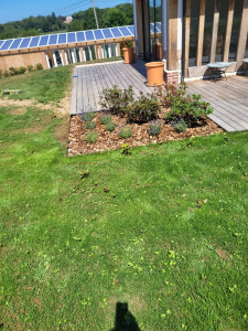 Photo de galerie - Paysagiste - Aménagement du jardin