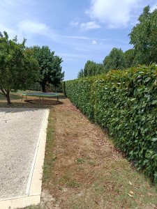 Photo de galerie - Après 