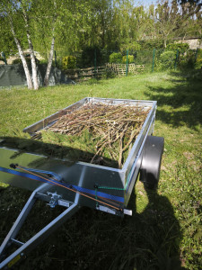 Photo de galerie - Taille de haie 